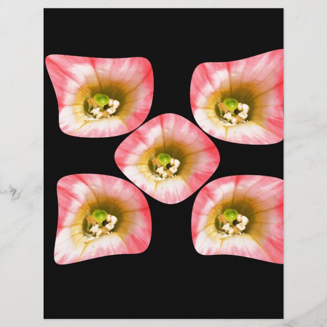 Blommigt Delight (Framsida)