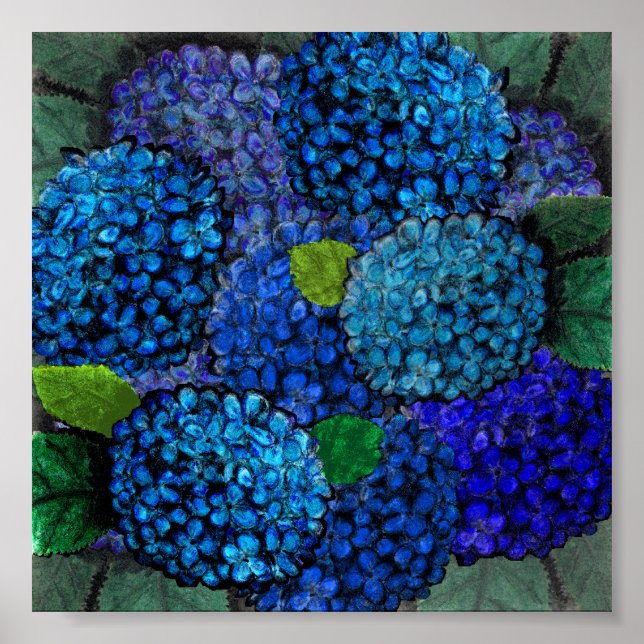 Blommigt design, blå Hydrangea-utskrift Poster (Framsidan)