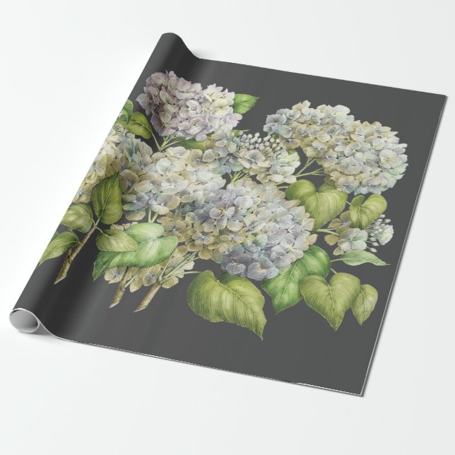 Blommigt Elegant Blue Hydrangea Black Decoupage Presentpapper (Utrullad)