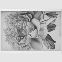 Blommigt Ephemera Decoupage Black White Peony