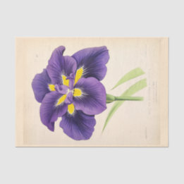 Blommigt Ephemera Decoupage Lila Fransk Flowers