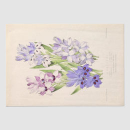 Blommigt Ephemera Decoupage Lila Fransk Flowers Ti