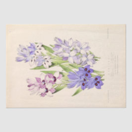 Blommigt Ephemera Decoupage Lila Fransk Flowers Ti