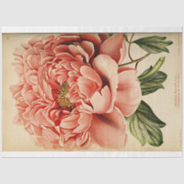 Blommigt Ephemera Decoupage Rosa Peony
