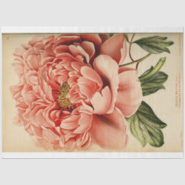 Blommigt Ephemera Decoupage Rosa Peony
