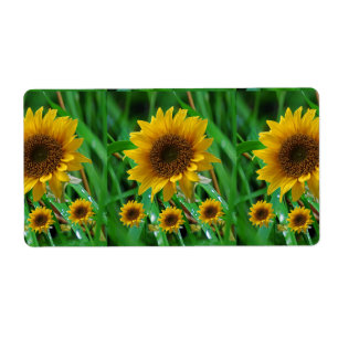 Blommigt-etiketter, solros fraktsedel