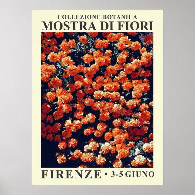 Blommigt Exhibit nr 3 Poster (Framsidan)