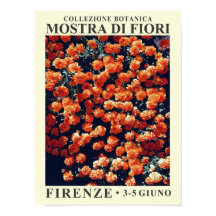 Blommigt Exhibit nr 3 Poster