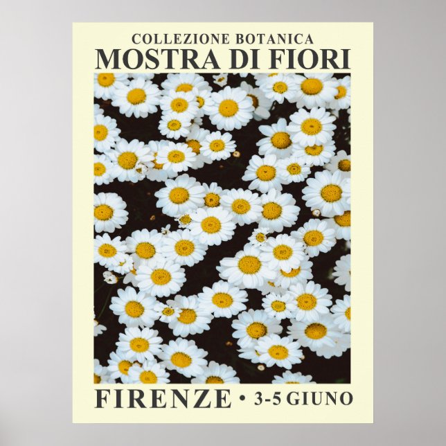 Blommigt Exhibit nr 5 Poster (Framsidan)