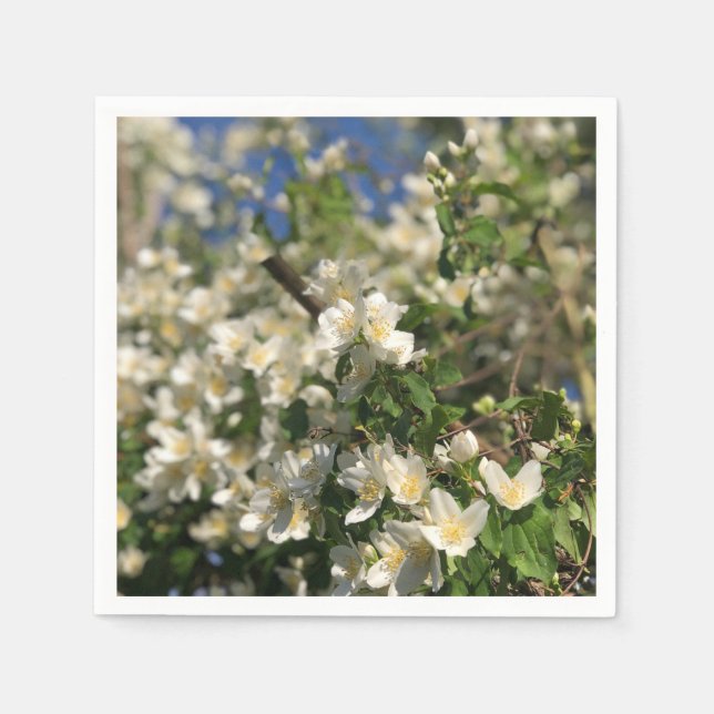 Blommigt Feminin Pappersservett (Framsidan)