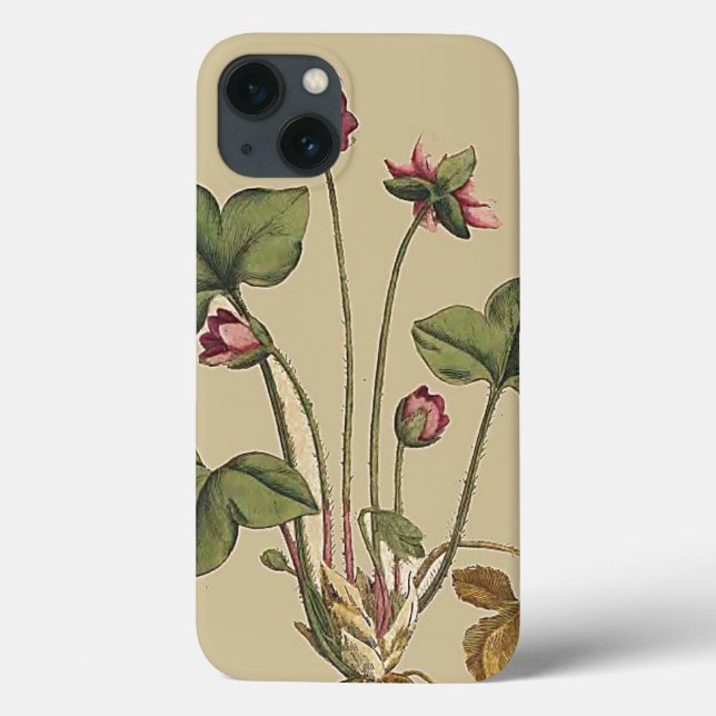 Blommigt Flower Botanical Garden iPhone 6 Fodral (Baksida)