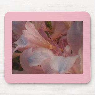 Blommigt för blommande Rosa Musmatta