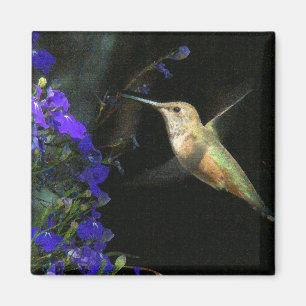 Blommigt för djurliv för Hummingbirdfågel djur Magnet