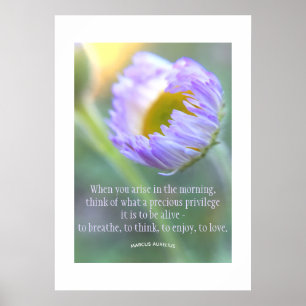 Blommigt för dygnsvariation för inspirationsoffert poster