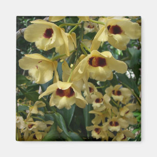 Blommigt för Elegant av gult och maronorchider Magnet