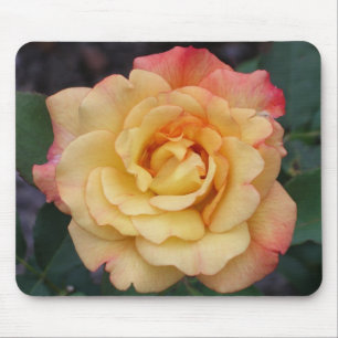 Blommigt för fred i Ro, vacker Rosa och Gult Musmatta