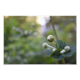 Blommigt för grönt FLODSKYDDSSKYDDSSKYDD Fototryck