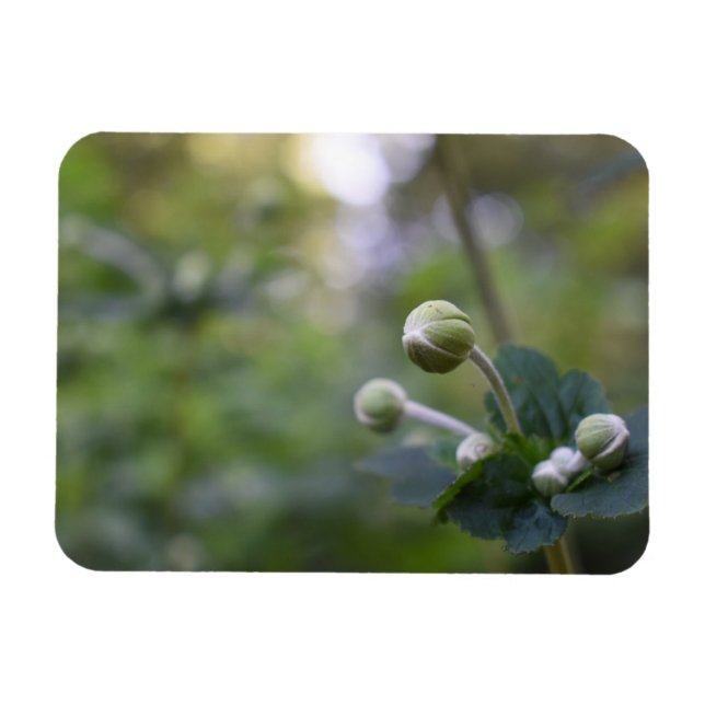 Blommigt för grönt FLODSKYDDSSKYDDSSKYDD Magnet (Horisontell)