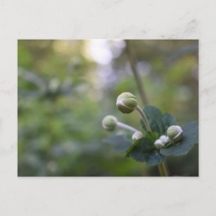 Blommigt för grönt FLODSKYDDSSKYDDSSKYDD Vykort