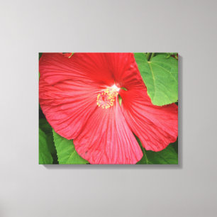Blommigt för Hibiscus Flower Bright-Magenta Canvastryck
