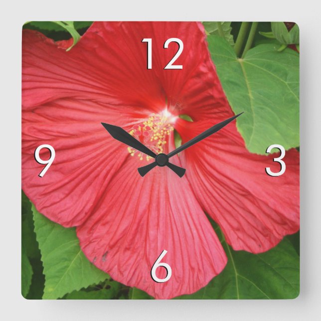 Blommigt för Hibiscus Flower Bright-Magenta Fyrkantig Klocka (Framsida)