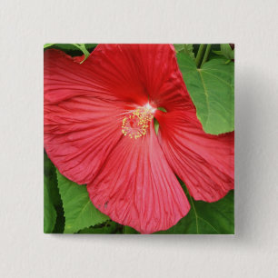 Blommigt för Hibiscus Flower Bright-Magenta Knapp