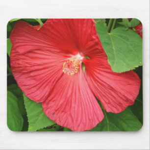 Blommigt för Hibiscus Flower Bright-Magenta Musmatta