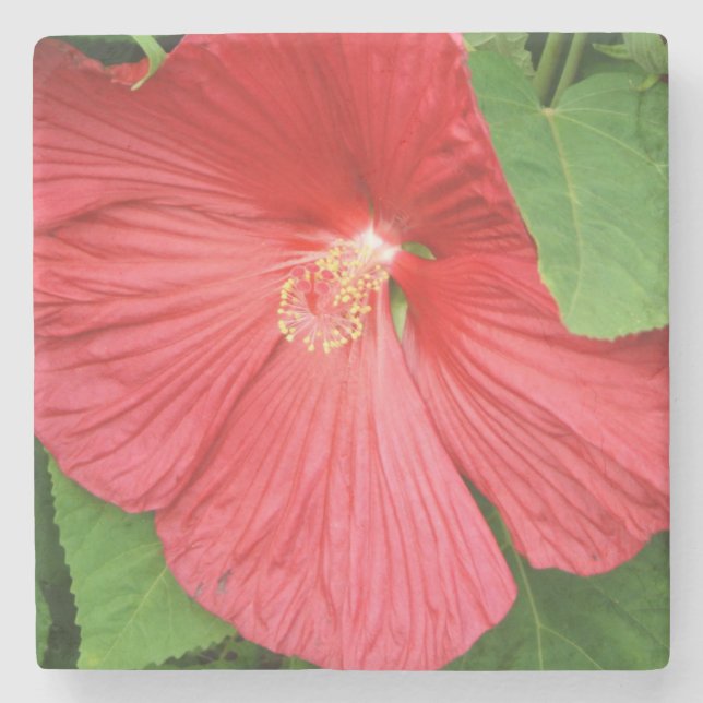 Blommigt för Hibiscus Flower Bright-Magenta Stenunderlägg (Framsidan)