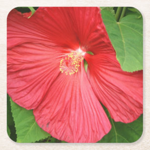 Blommigt för Hibiscus Flower Bright-Magenta Underlägg Papper Kvadrat