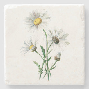 Blommigt för illustration för blomma för underlägg sten