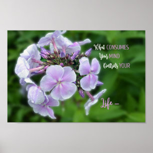 Blommigt för inspirationshydrangea poster