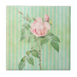 Blommigt för keramiska plattan Grönt Rand Vintage Kakelplatta<br><div class="desc">Ceramic Tile Något för alla erbjuder anpassade plattor för personlig som är särskilt designade för att förbättra skönheten i ditt hem. Den här unika designade plattan garanterar en vacker avsluta till alla dina dekorplattor. Medan du redan är här kanske du vill se andra relaterade badrumsartiklar som duschgardiner, tvålskåp, badkar, badkar,...</div>