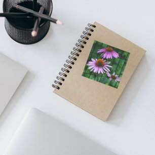 Blommigt för Lila Coneflowers Fyrkantigt Klistermärke