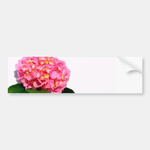blommigt för rosa av rosa rosa av vattenlevande bl bildekal