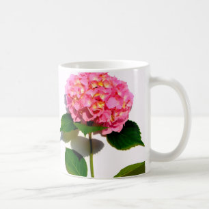 blommigt för rosa av rosa rosa av vattenlevande bl kaffemugg