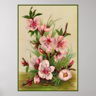 Blommigt för Rosa av vintage Poster