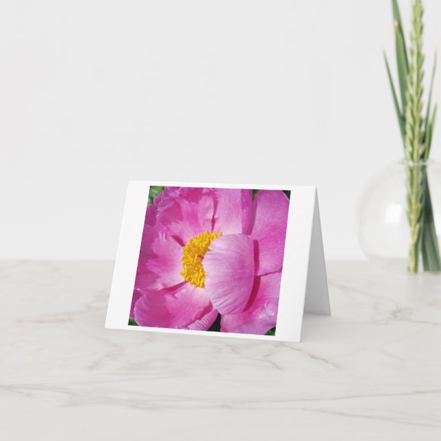 Blommigt för rosa och Gult Anteckningskort (Framsida)