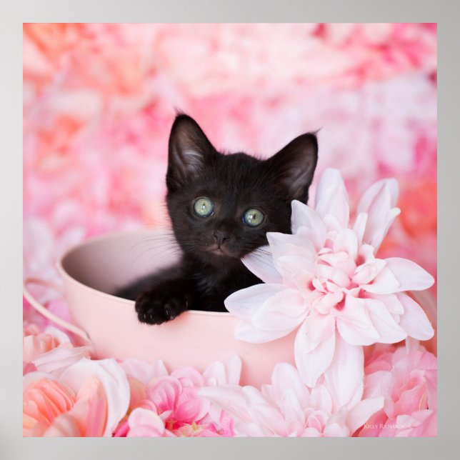 Blommigt för Rosa Poster (Framsidan)