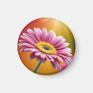Blommigt för solupplyst rosa daisy magnet