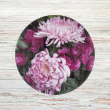 Blommigt för stora Rosor i Chrysanthemums