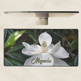 Blommigt för vit Magnolia-Blommar, fotografi