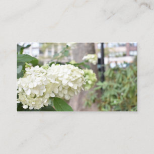 Blommigt för White Flowers New York Architecture P Visitkort