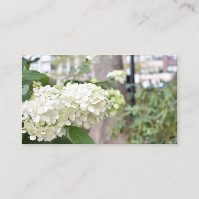 Blommigt för White Flowers New York Architecture P Visitkort (Framsida)