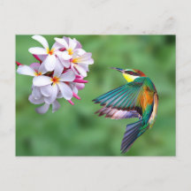 Blommigt Foto för Wildlife Colorful Bee Eater
