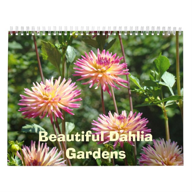 Blommigt Foton till BeSnygga Dahlia Gardens Calend Kalender (Omslag)