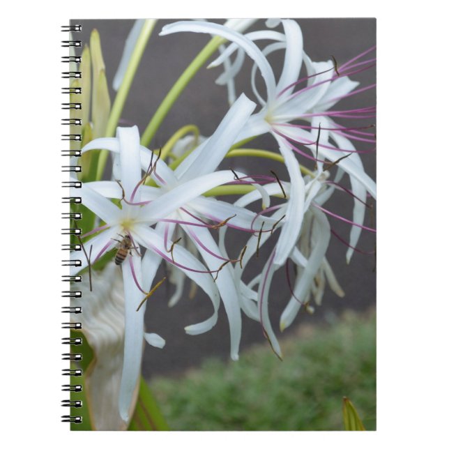 Blommigt Fragrance - bärbar dator Anteckningsbok (Framsidan)