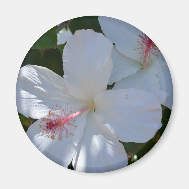 Blommigt Fragrance Magnet (Framsidan)