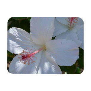 Blommigt Fragrance Magnet