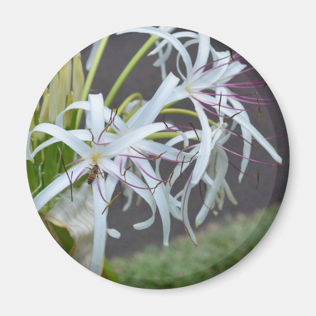 Blommigt Fragrance Magnet (Framsidan)