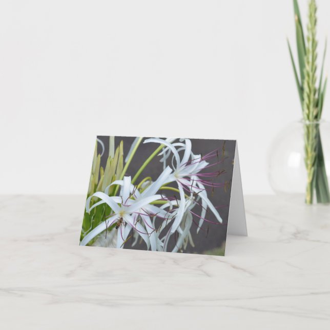Blommigt Fragrance Note Card Helgkort (Framsida)